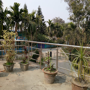 Goalpokher-ii Children's Park photo