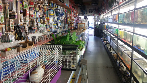 Pet Store «J & J Pet Shop», reviews and photos, 715 E Tremont Ave # 1, Bronx, NY 10457, USA