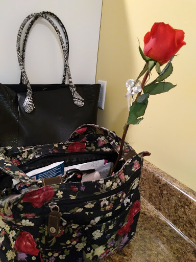 Home Goods Store «Dollar General», reviews and photos, 2649 Main St, Whitney Point, NY 13862, USA