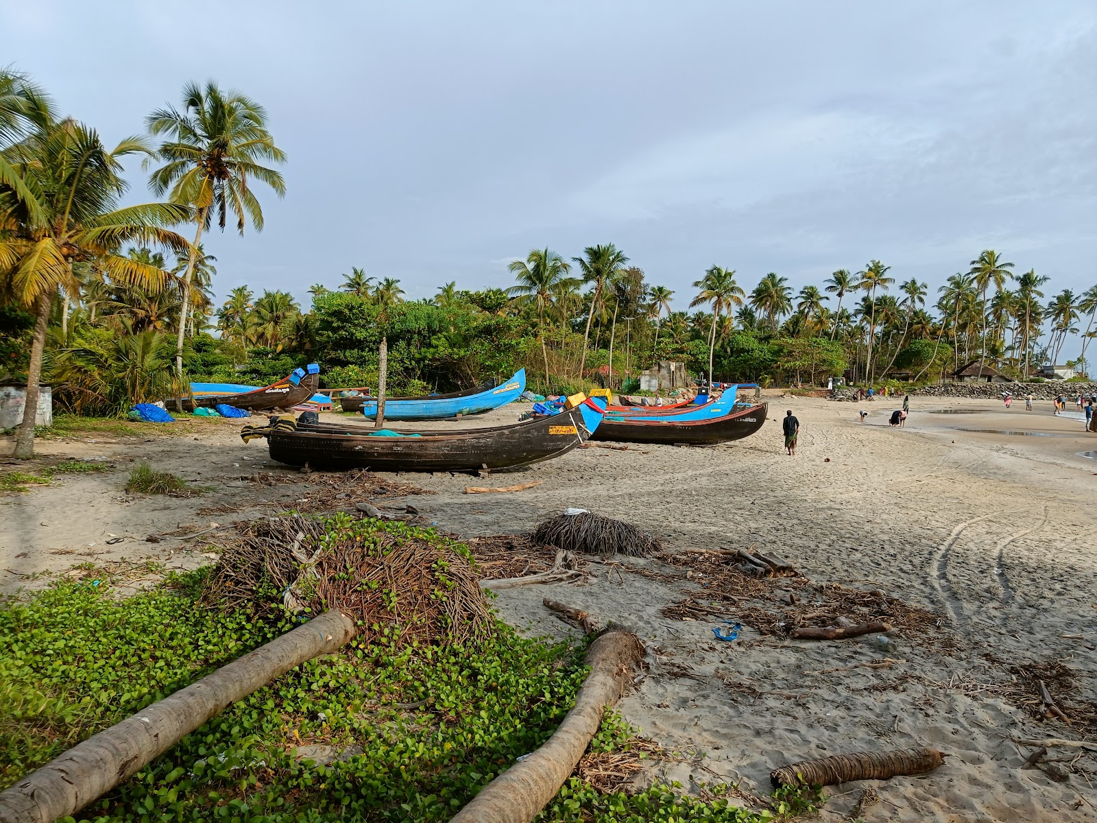 Photo de Thattukadavu Beach avec un niveau de propreté de très propre