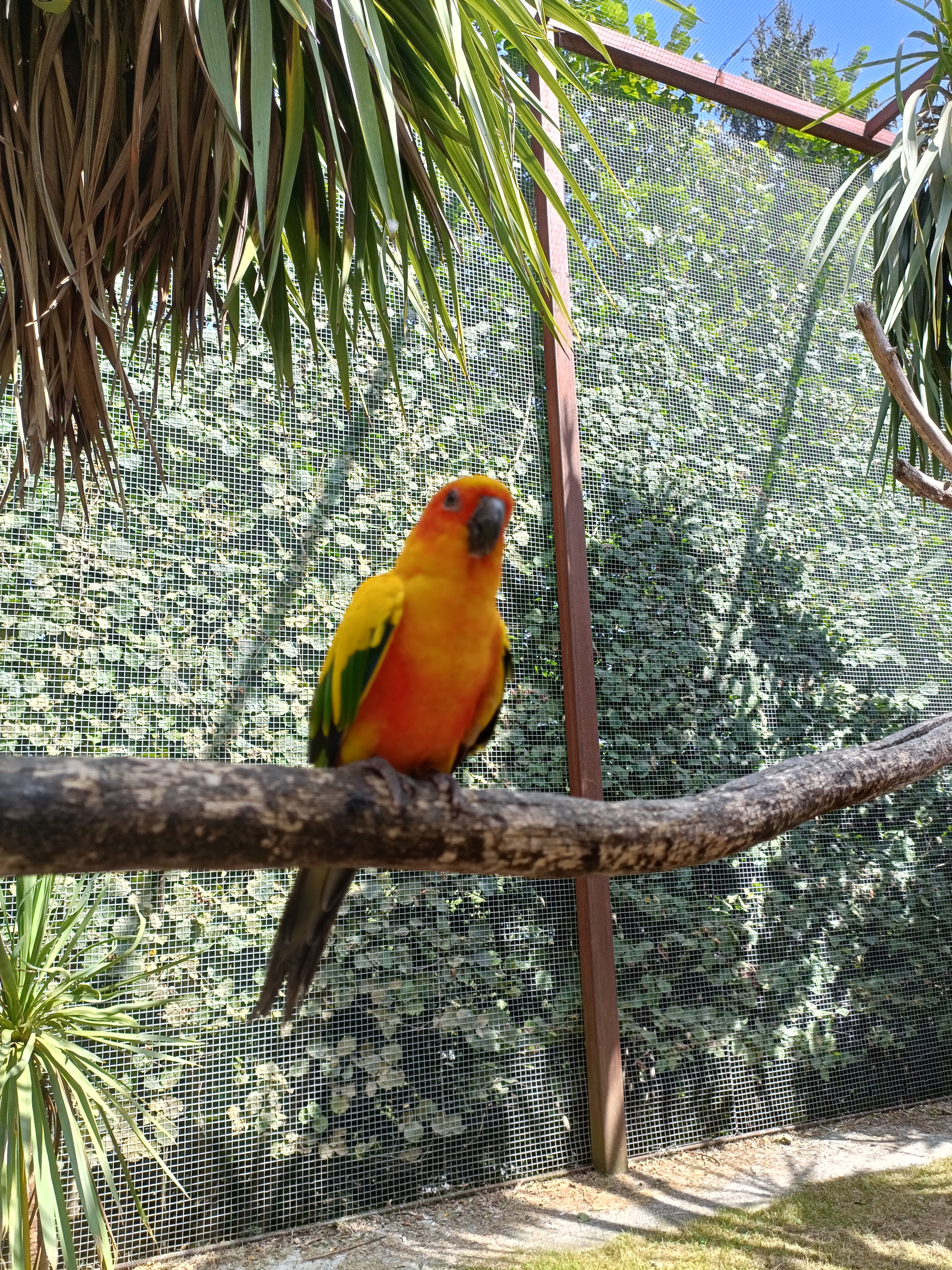 Photo n° 7 de l'avis de Laurence. fait le 25/08/2023 à 18:50