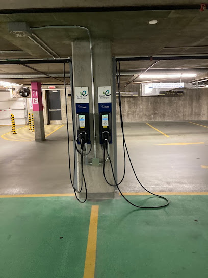 Electric Circuit Charging Station