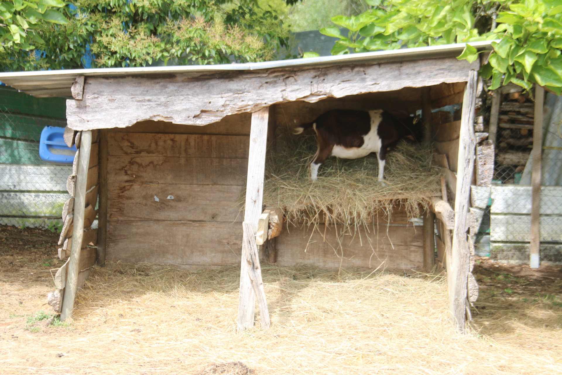 Photo n° 2 de l'avis de Patrice.o fait le 18/08/2023 à 18:06