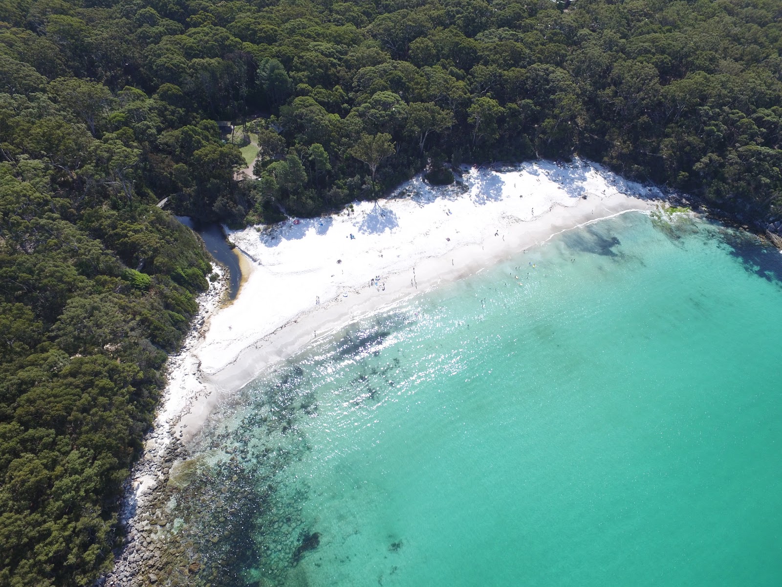 Blenheim Beach'in fotoğrafı #42 ile birlikte
