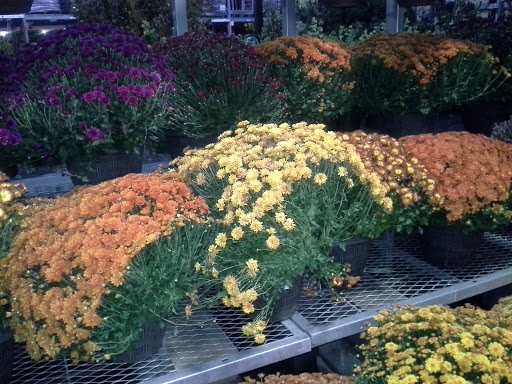 Home Improvement Store «The Home Depot», reviews and photos, 85 Main St, Tewksbury, MA 01876, USA