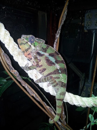 Pet Store «Gills And Thrills Pet Shop», reviews and photos, 204 E 8th St, Lockport, IL 60441, USA