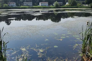 Twin Ponds Park image
