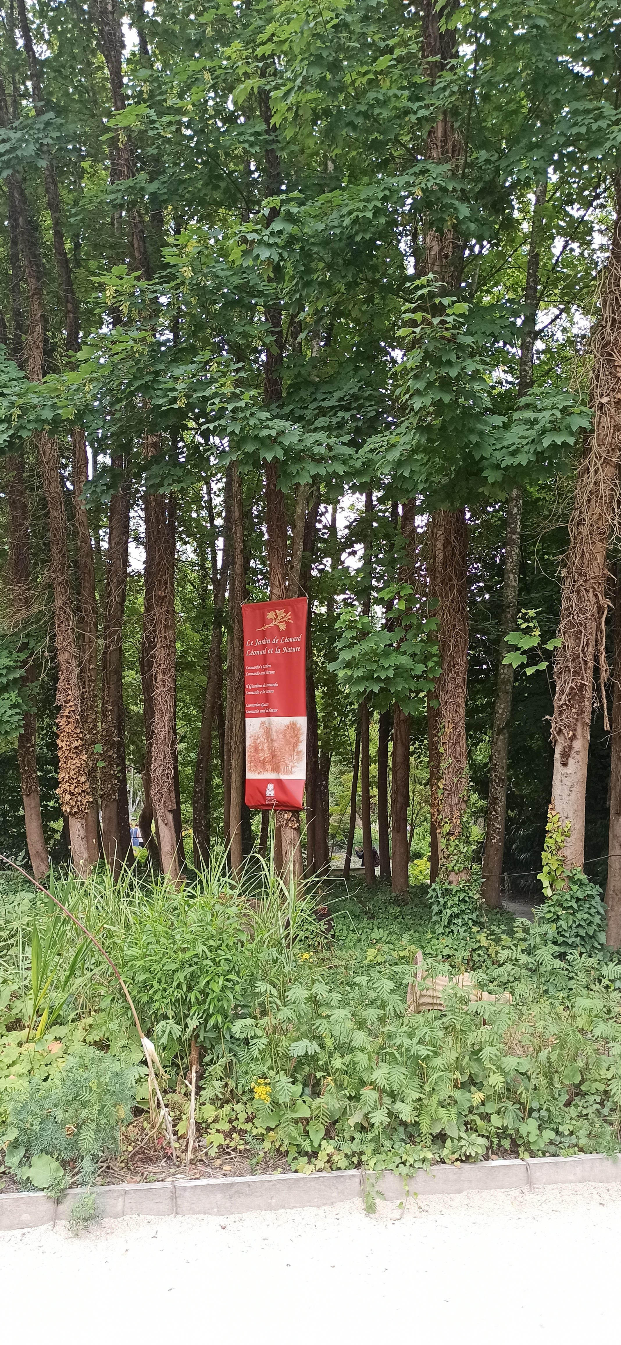 Photo n° 30 de l'avis de Patawin.e fait le 21/07/2023 à 11:31