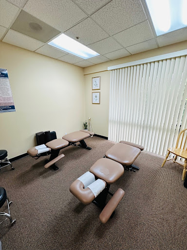 Tritan Chiropractic image