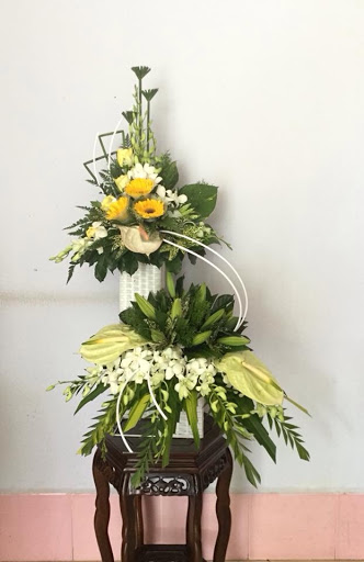 Hoa tươi Dũng Hà