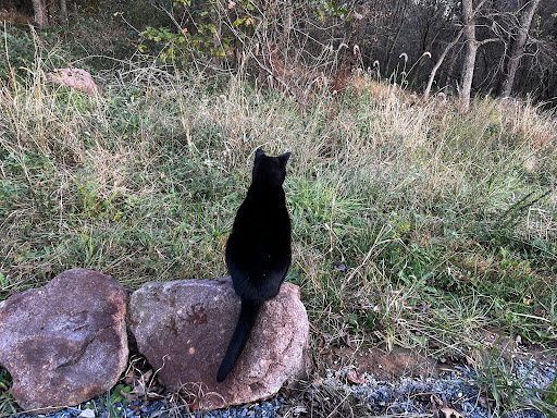 Winery «Rocklands Farm», reviews and photos, 14525 Montevideo Rd, Poolesville, MD 20837, USA