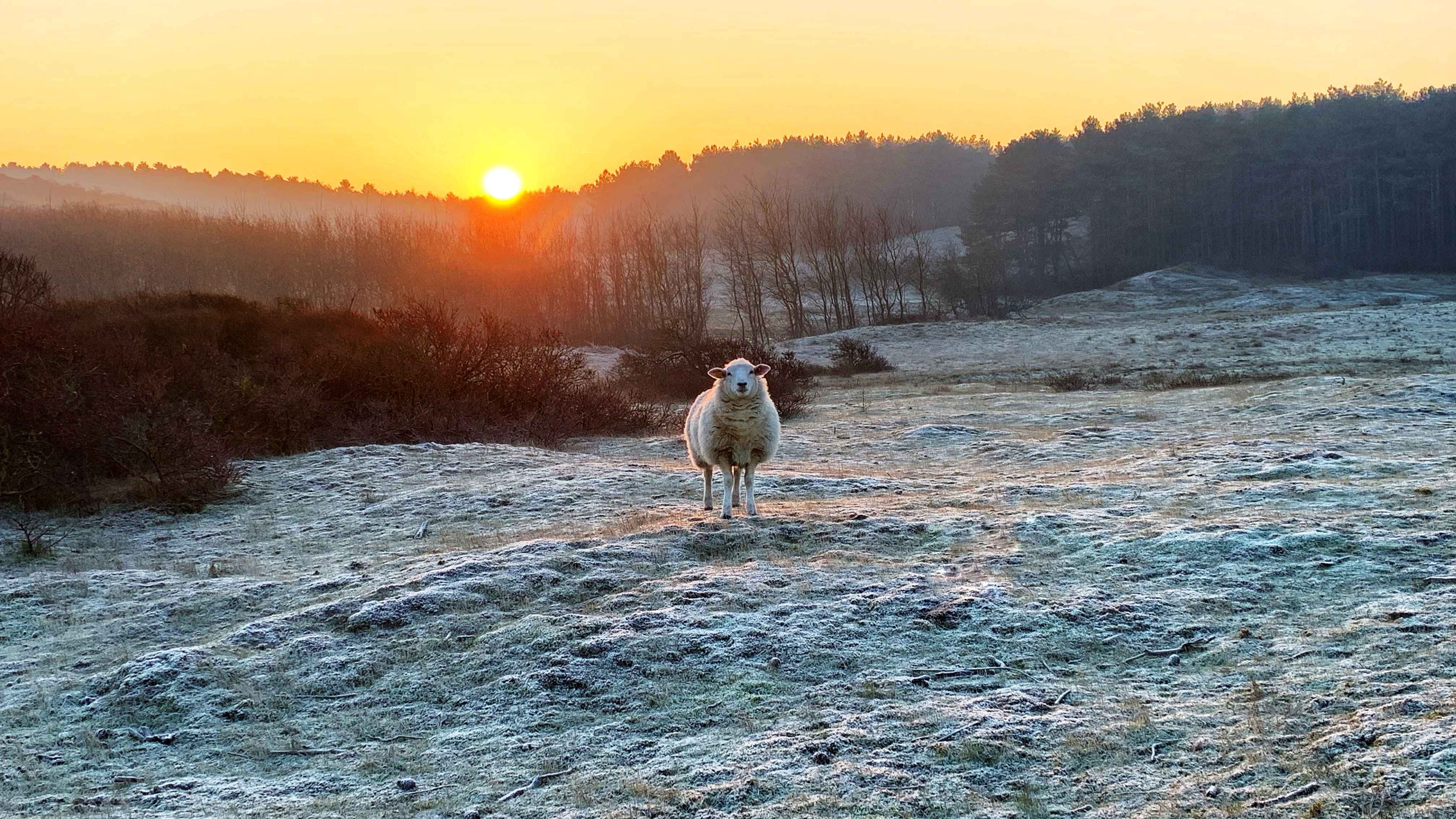 Photo n° 1 de l'avis de LY.u fait le 16/01/2022 à 17:46
