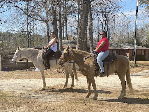 Horse trainer Fayetteville