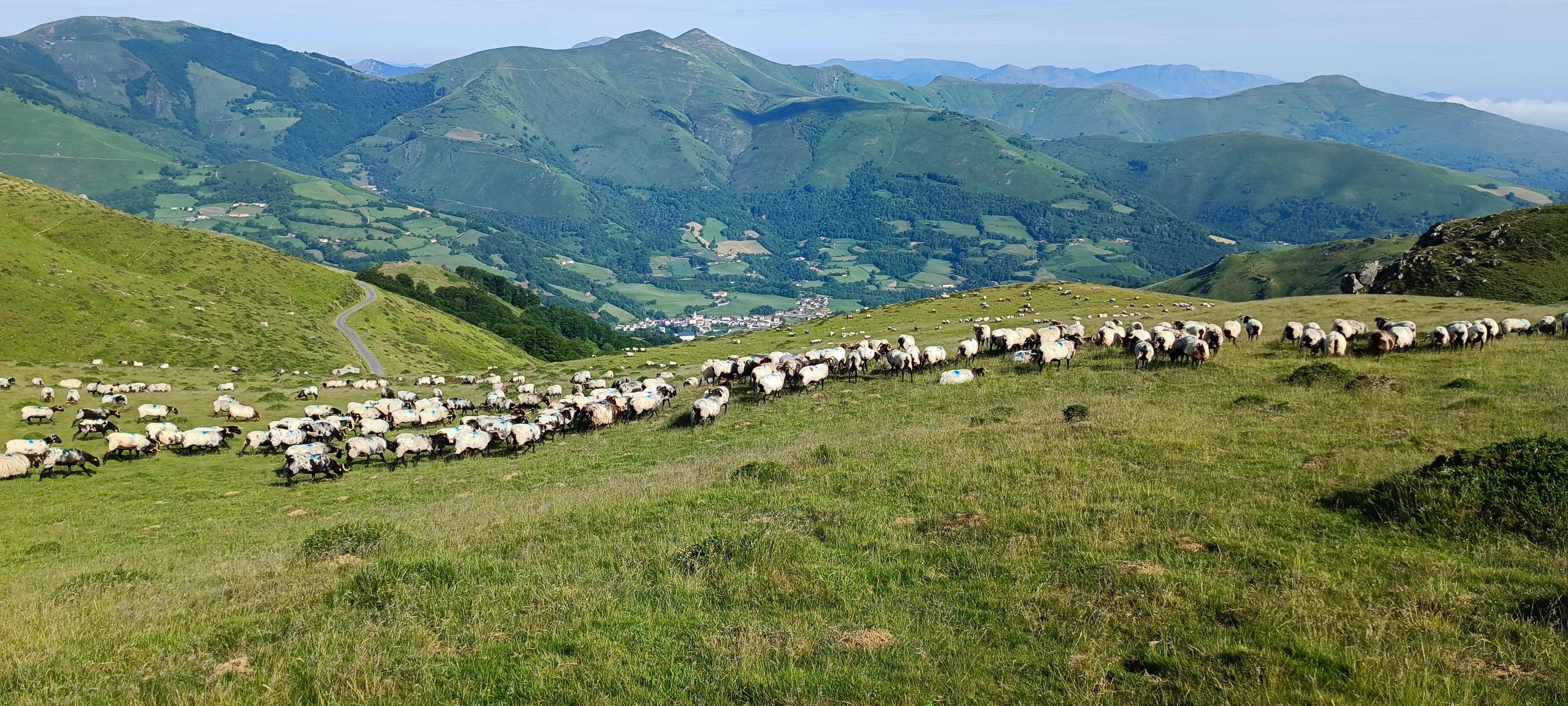 Photo n° 3 de l'avis de Frédéric.o fait le 09/06/2022 à 15:32