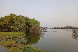Noyyal River image