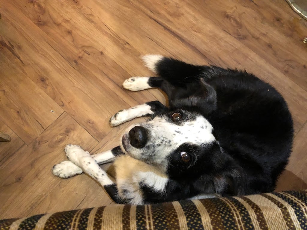 沐沐moon 任性/餐酒/攝影/分享空間 的照片