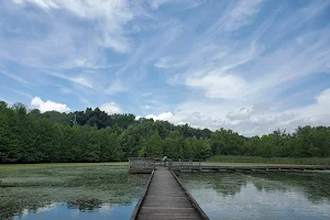 Howell Wetlands image