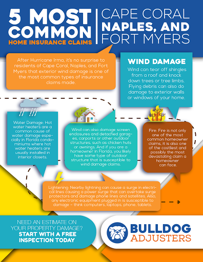 Loss Adjuster «Bulldog Adjusters», reviews and photos