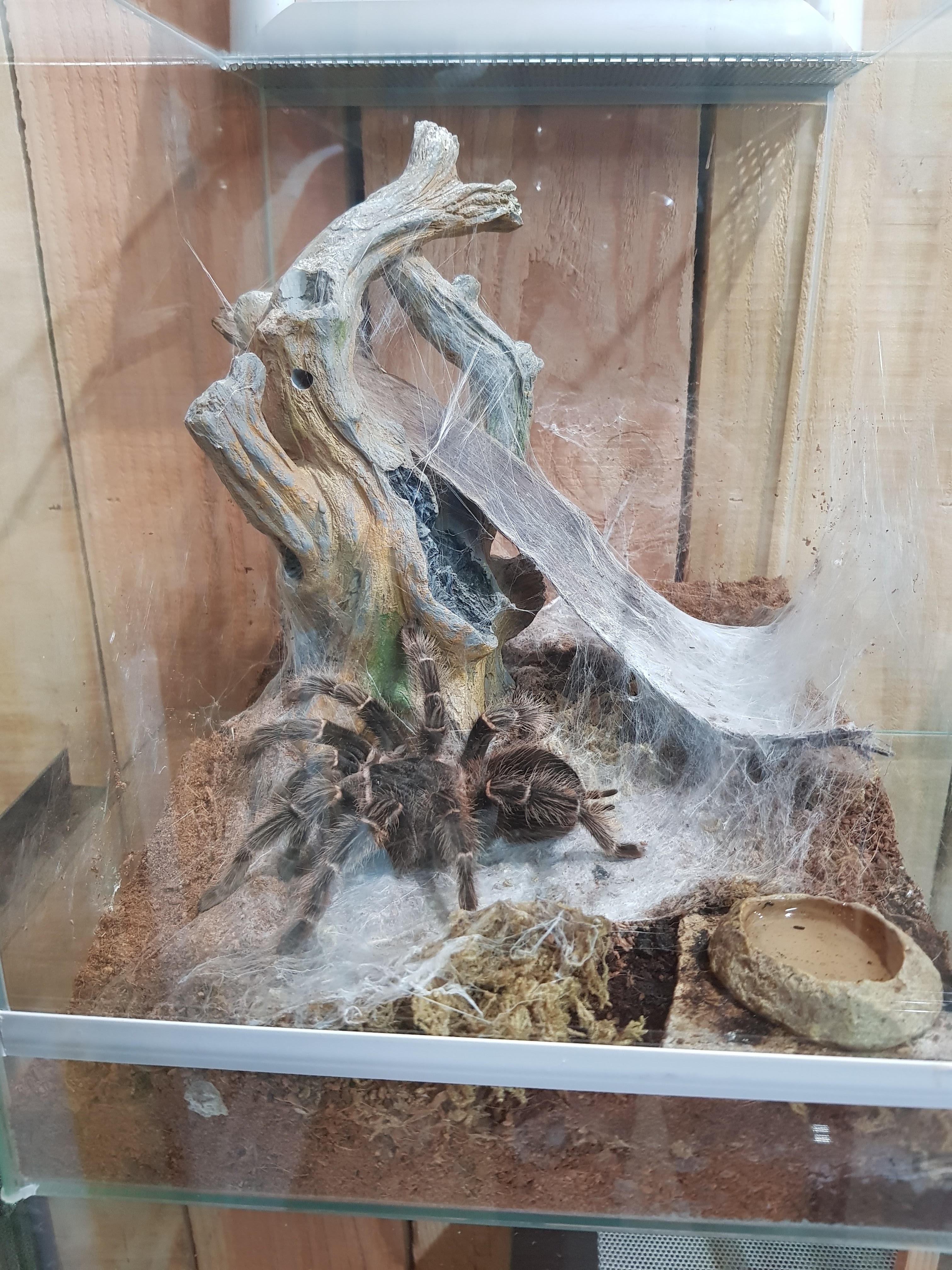 Photo n° 28 de l'avis de Lala.a fait le 24/08/2020 à 19:44