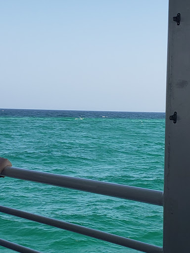 Sightseeing Tour Agency «Southern Star Dolphin Cruises», reviews and photos, 100 Harbor Blvd, Destin, FL 32541, USA