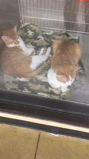 Pet Supply Store «PetSmart», reviews and photos, 4200 Derry St, Harrisburg, PA 17111, USA