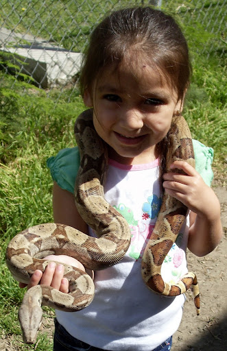 Reptile Store «Paramount Pet Entertainment - Reptile Parties & more!», reviews and photos, 8055 Rosecrans Ave #107, Paramount, CA 90723, USA