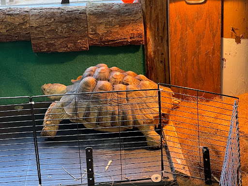 Aquarium «Team ECCO Ocean Center & Aquarium», reviews and photos, 511 N Main St, Hendersonville, NC 28792, USA