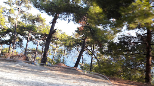 Manzaram Keyif Gözleme Evi