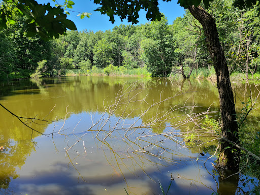 Nature Preserve «Hickory Creek Preserve», reviews and photos, Wolf Rd, Mokena, IL 60448, USA