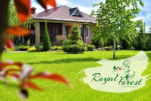 Royal Forest ландшафтная компания image