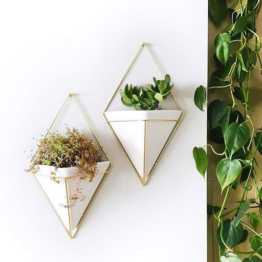 Gift Shop «Madison Modern Market», reviews and photos, 310 State St, Madison, WI 53703, USA