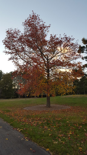 Tourist Attraction «Governor Ames Estate», reviews and photos, 35 Oliver St, North Easton, MA 02356, USA