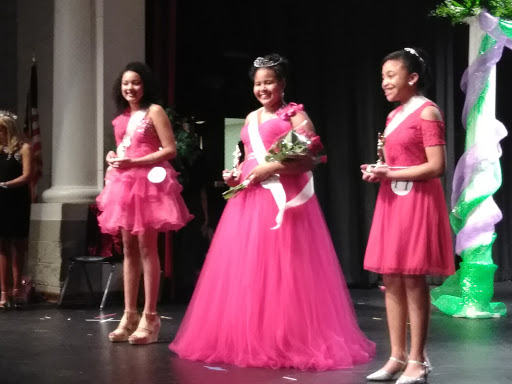 Performing Arts Theater «Krider Performing Arts Center», reviews and photos, 650 Volunteer Dr, Paris, TN 38242, USA