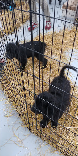 Pet Store «Teske Pet & Garden», reviews and photos, 2423 16th St, Moline, IL 61265, USA