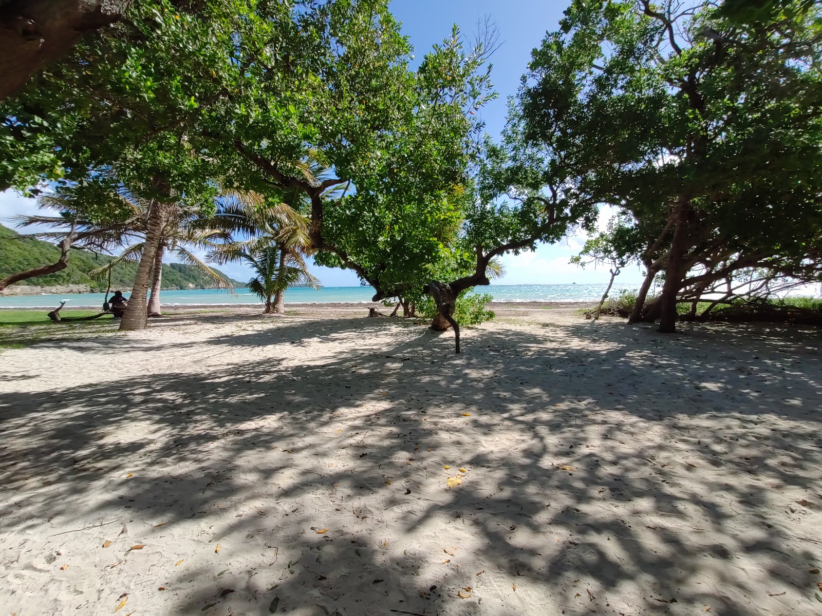 Valokuva Plage des Salinesista. ja asutus