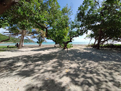 Valokuva Plage des Salinesista. ja asutus