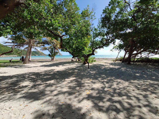 Plage des Salines