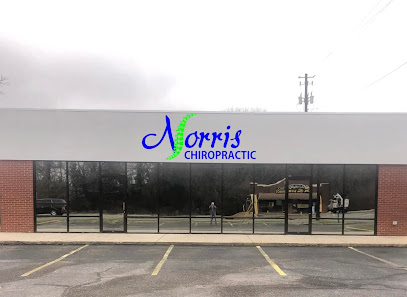 Norris Chiropractic, LLC