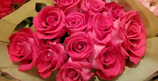 Grocery Store «The Fresh Market», reviews and photos, 3468 Lithia Pinecrest Rd, Valrico, FL 33596, USA