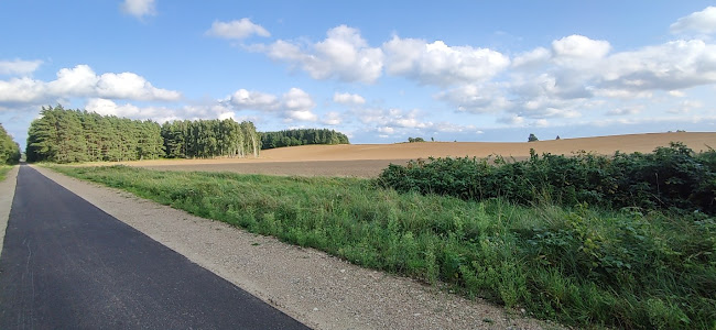 Comentarii opinii despre Rowerem po kolei