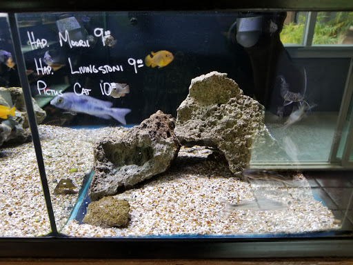 Sand Bar Pet Shop image