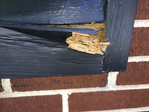 Painter «Bill Schneeberger Painting And Decorating LLC», reviews and photos, 1321 1st St, Northbrook, IL 60062, USA