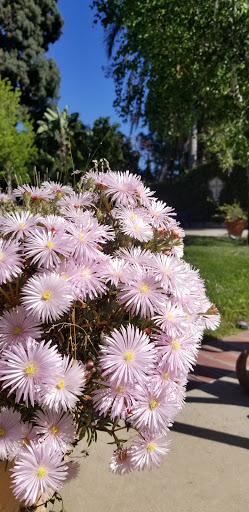 Museum «Dominguez Rancho Adobe Museum», reviews and photos, 18127 Alameda St, Compton, CA 90220, USA