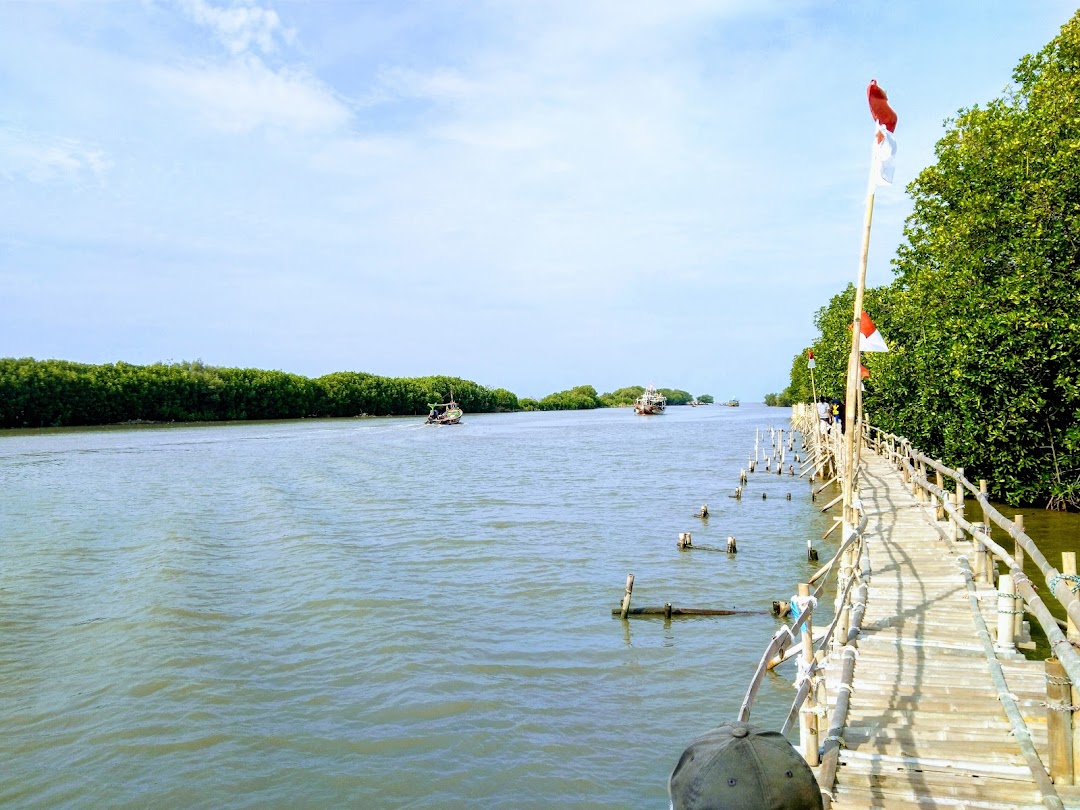 Wisata MACIL Mangrove