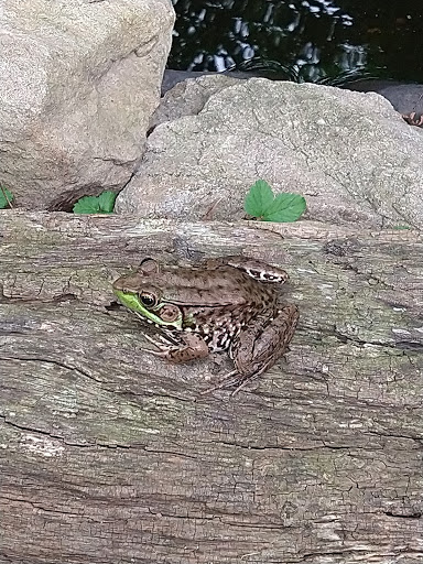 Retreat Center «Refreshing Mountain Retreat and Adventure Center», reviews and photos, 455 Camp Rd, Stevens, PA 17578, USA