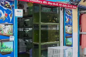 Oceans Aquarium & pet world - Aquarium shop in noida image