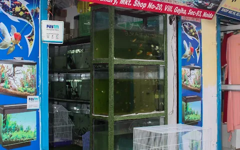 Oceans Aquarium & pet world - Aquarium shop in noida image