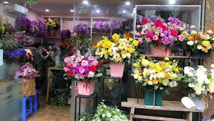 Shop Hoa Tươi Tây Ninh - Điện Hoa Tây Ninh