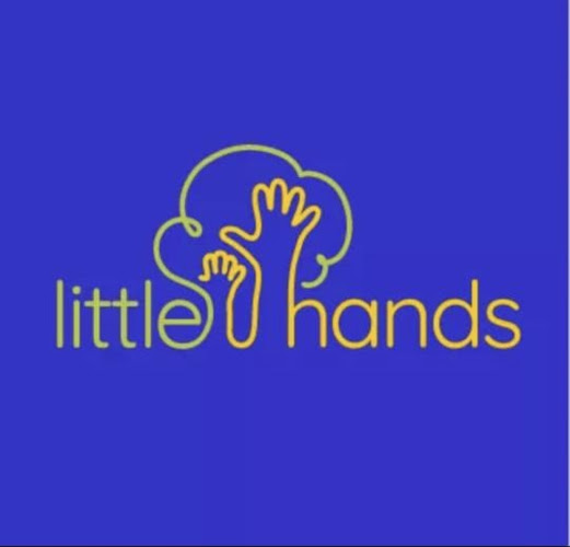 Little Hands - Centro de Desarrollo Infantil - Guardería