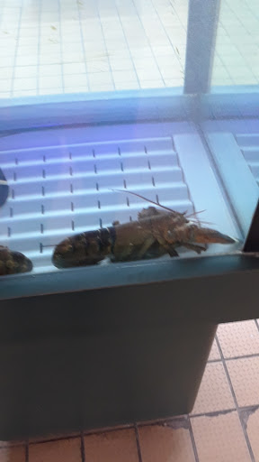 Seafood Market «Gainesville Seafood Market & Bakery», reviews and photos, 1403 Atlanta Hwy, Gainesville, GA 30501, USA